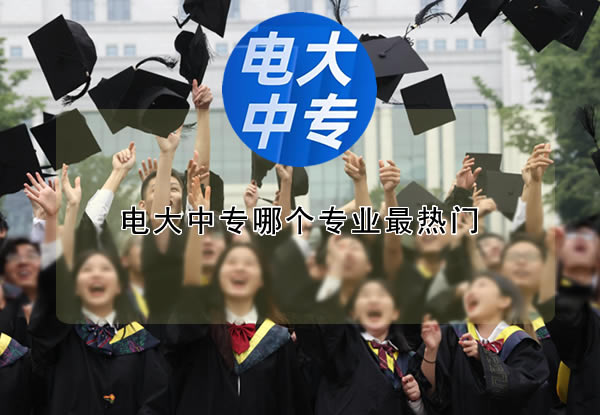 電大中專哪個專業最熱門？